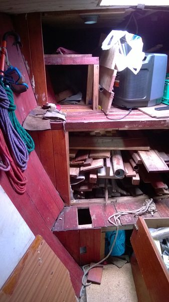 WP_20141109_084 337x600