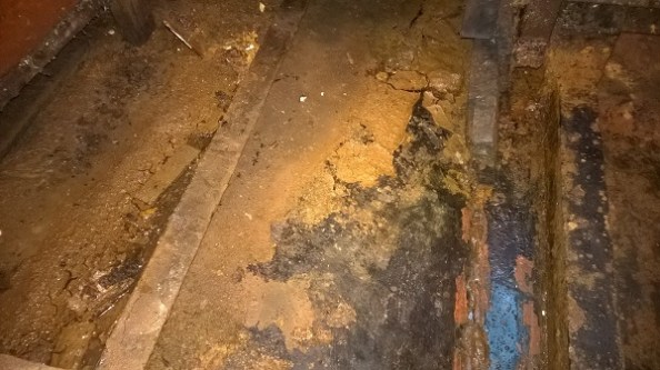 WP_20150309_001 600x337