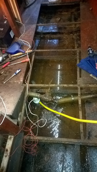 WP_20150311_003 337x600